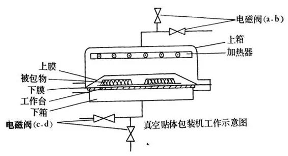 后疫情時代，預制菜為何逆勢上漲？核心技術和真空有關！