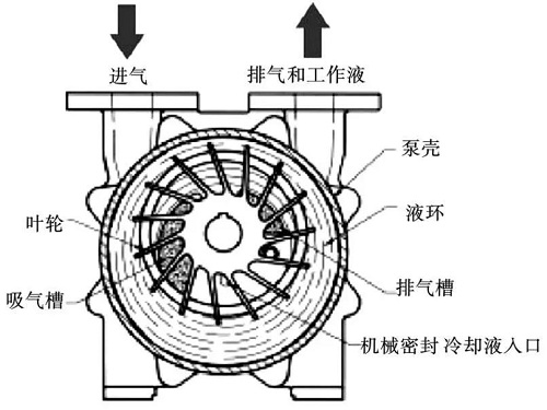 水環式真空泵的保養維護